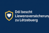 Déi bescht Liewensversécherung am Lëtzebuerger Bikrisohoj